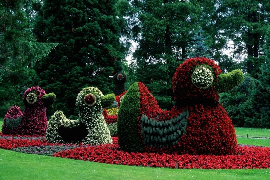 flower-animals-island-mainau_0